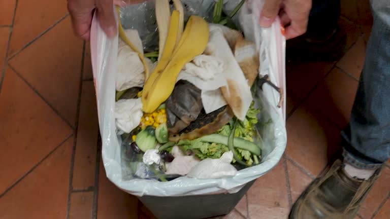 Best Carpet Removal and Disposal  in Glen Cove, NY
